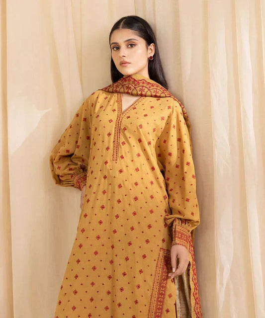 3 Piece - Embroidered Karandi Suit